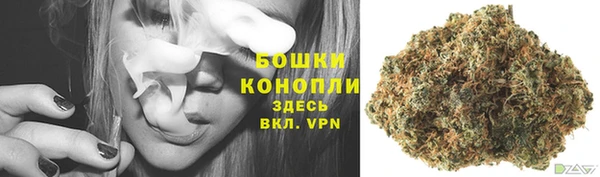 винт Магас