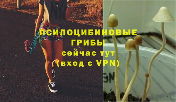 гидропоника Майский