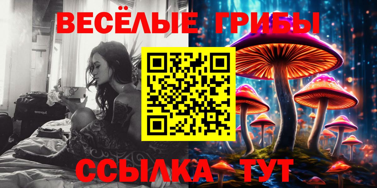Галлюциногенные грибы мухоморы  Вход с VPN  купить наркотик  Холмск 