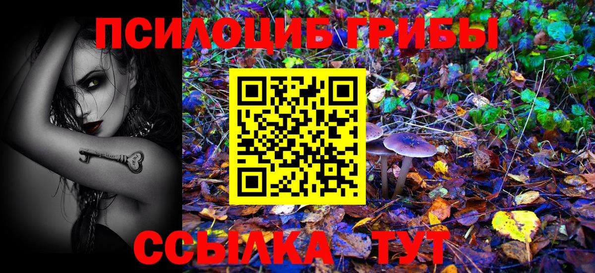 Псилоцибиновые грибы мицелий Холмск